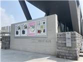 東京都現代美術館_20260722_02