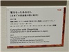 東京都現代美術館_20260722_17