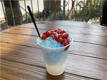 ディズニーシー_20250808_025
