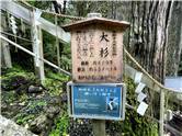 鞍馬寺-11