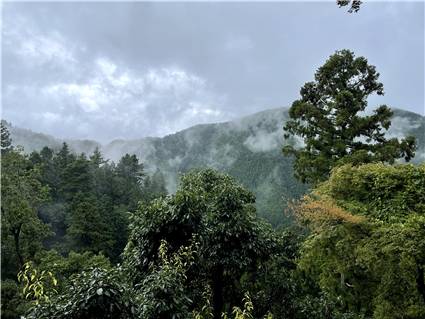 鞍馬寺-15