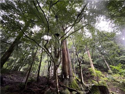 貴船神社-10