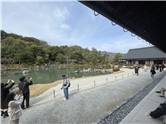 京都_20260227_天龍寺_017.jpg