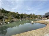 京都_20260227_天龍寺_032.jpg