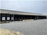 京都_20260227_三十三間堂_014.jpg