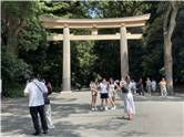 MeijiJingu_20250731_001