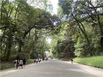 MeijiJingu_20250731_002