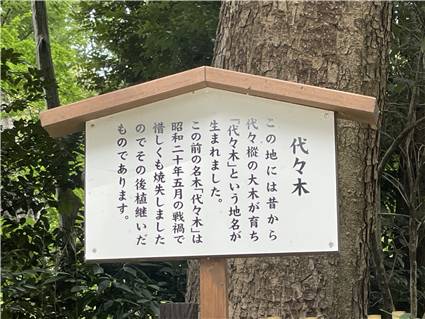 MeijiJingu_20250731_008