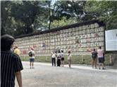 MeijiJingu_20250731_010