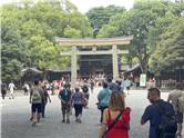 MeijiJingu_20250731_015