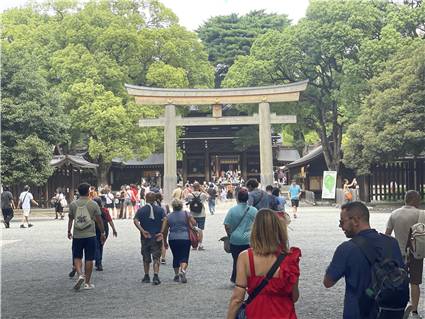 MeijiJingu_20250731_015