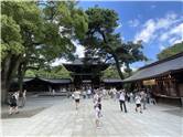 MeijiJingu_20250731_018
