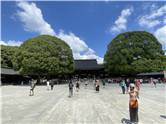 MeijiJingu_20250731_021