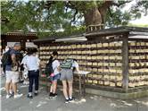 MeijiJingu_20250731_024