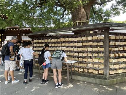 MeijiJingu_20250731_024
