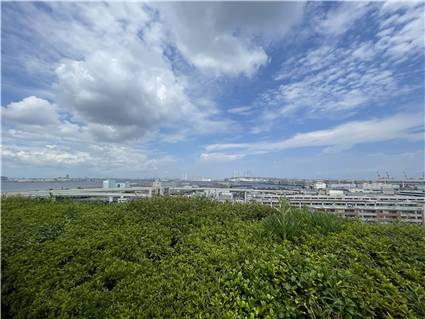 Yokohama_20250816_018
