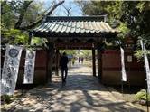 IMG_0058.jpeg