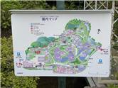 あしかがフラワーパーク