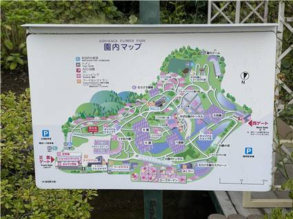 あしかがフラワーパーク