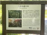 IMG_2422.jpg