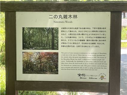 IMG_2422.jpg