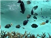DJI_20260727_103104_859.JPG