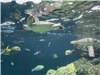 DJI_20260727_104508_688.JPG