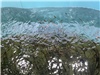 DJI_20260727_104719_596.JPG