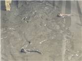 DJI_20260727_105143_749.JPG