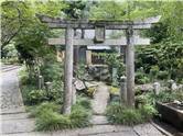 Kyoto_20260729_020
