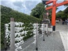 Kyoto_20260729_039