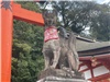 Kyoto_20260729_040