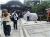 Kyoto_20260729_046