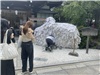 Kyoto_20260729_047