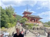 Kyoto_20260729_056