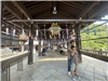 Kyoto_20260729_061