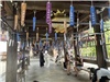 Kyoto_20260729_062