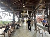 Kyoto_20260729_064