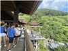 Kyoto_20260729_066