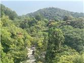 Kyoto_20260729_067