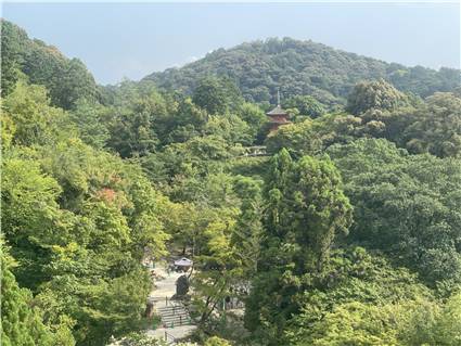 Kyoto_20260729_067