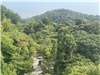 Kyoto_20260729_067