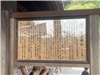 Kyoto_20260729_068