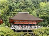 Kyoto_20260729_070