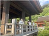Kyoto_20260729_071