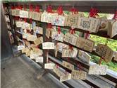 Kyoto_20260729_072