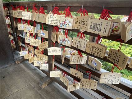 Kyoto_20260729_072