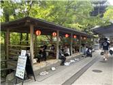 Kyoto_20260729_078