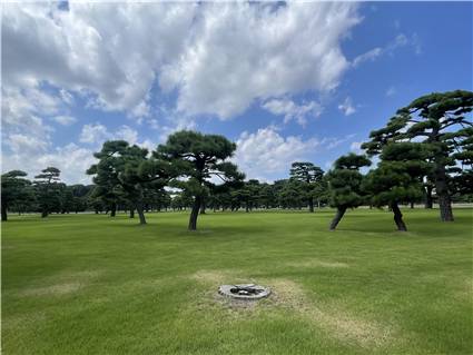011 皇居前