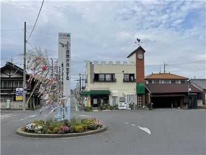 ウォーキング_20250809_003